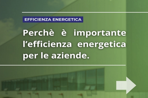 4_greenA7936346-4A10-F741-3D1F-BFD9529947B2.jpg