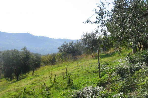 2_galleria-villa3AEC4C9C-2F19-AAF4-63D7-572CFE1332F1.jpg